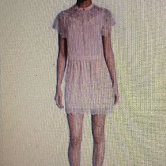 ZADIG & VOLTAIRE..RICY JAC SILK DRESS..SMALL - Picture 1 of 16